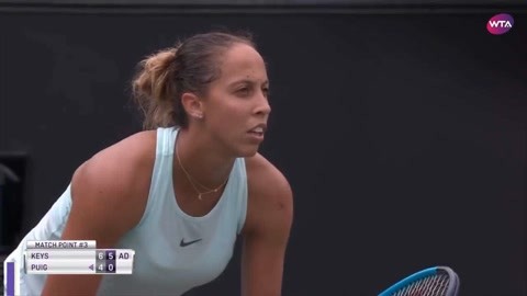 海鸥为灵感 海鸥为灵感