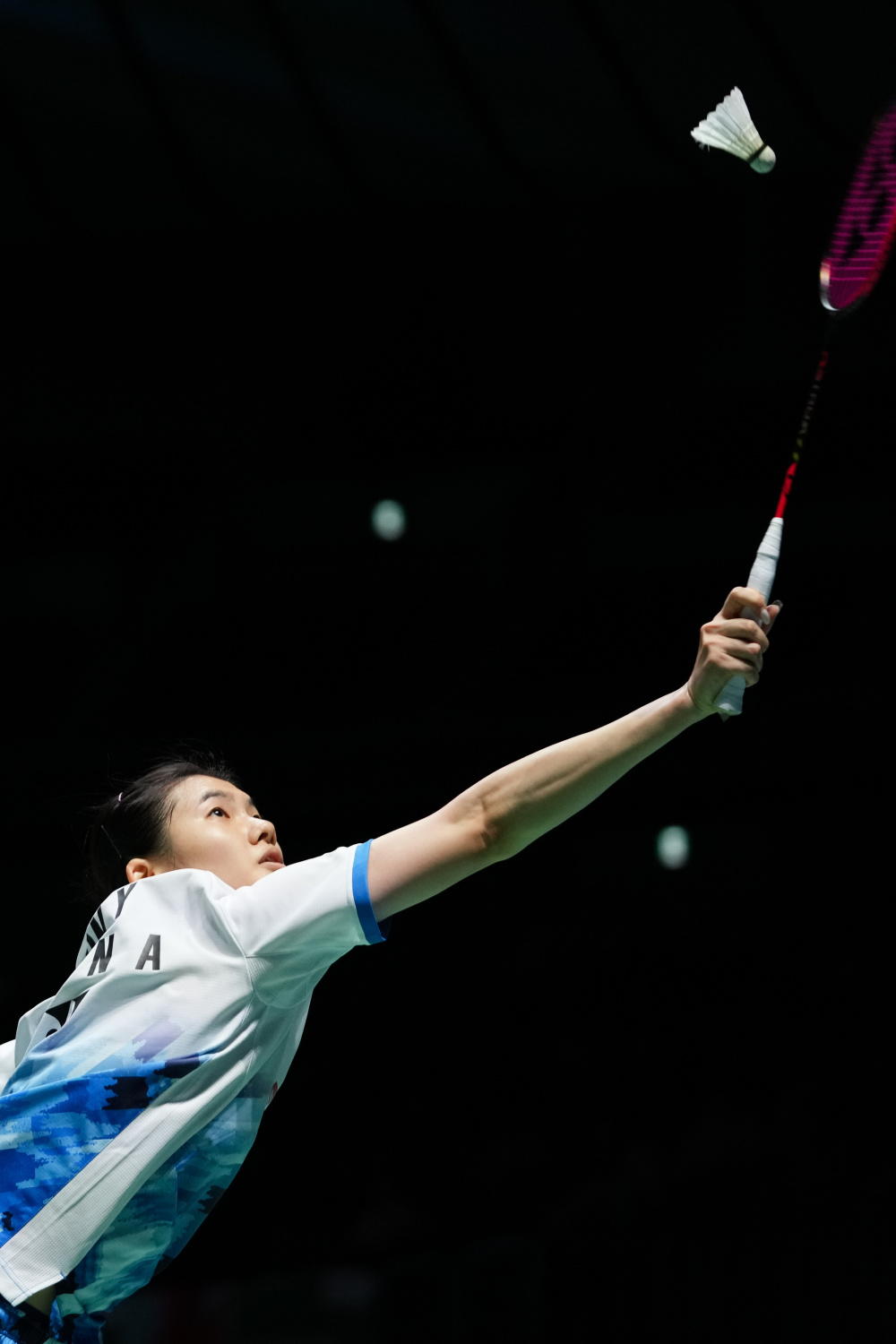 显示出极高 显示出极高